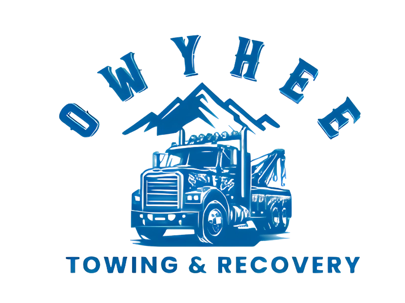 owyhee logo